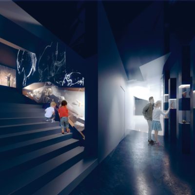 Muzeum Archeologiczne <br>w Gdańsku